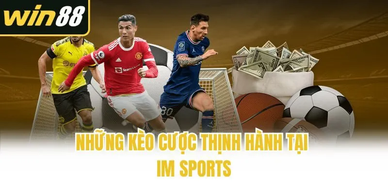 IM Sports: Điểm Giải Trí Thể Thao Uy Tín Hàng Đầu Châu Á - mixon