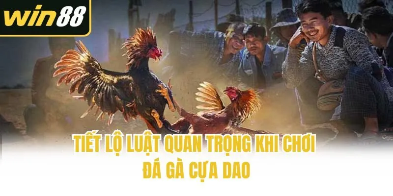 Đá Gà Cựa Dao - Giải Trí Cá Độ Không Giới Hạn Cùng Chiến Kê - mixon