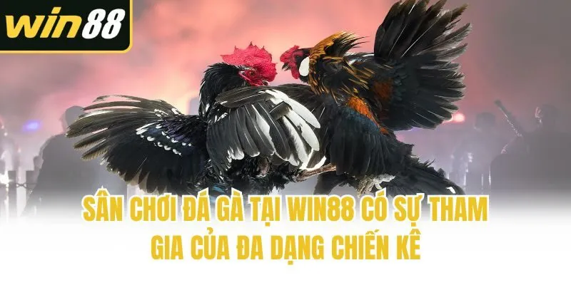 Đá gà - Cập Nhật Mới Nhất | Win88 - mixon
