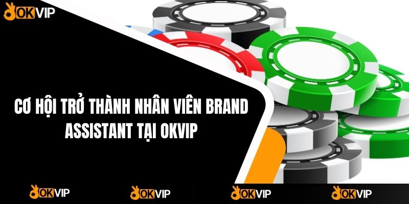 Tuyển Dụng OKVIP - Cơ Hội Việc Làm Hấp Dẫn - mixon